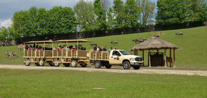 ZOO safari Dvůr Králové